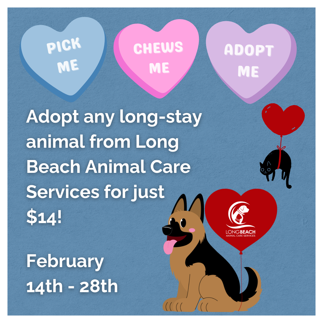 Adoption Special Feb (WEBSITE SIZE)