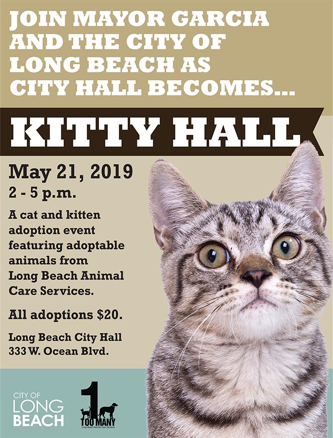 Kitty Hall Flyer 2019_lo-res