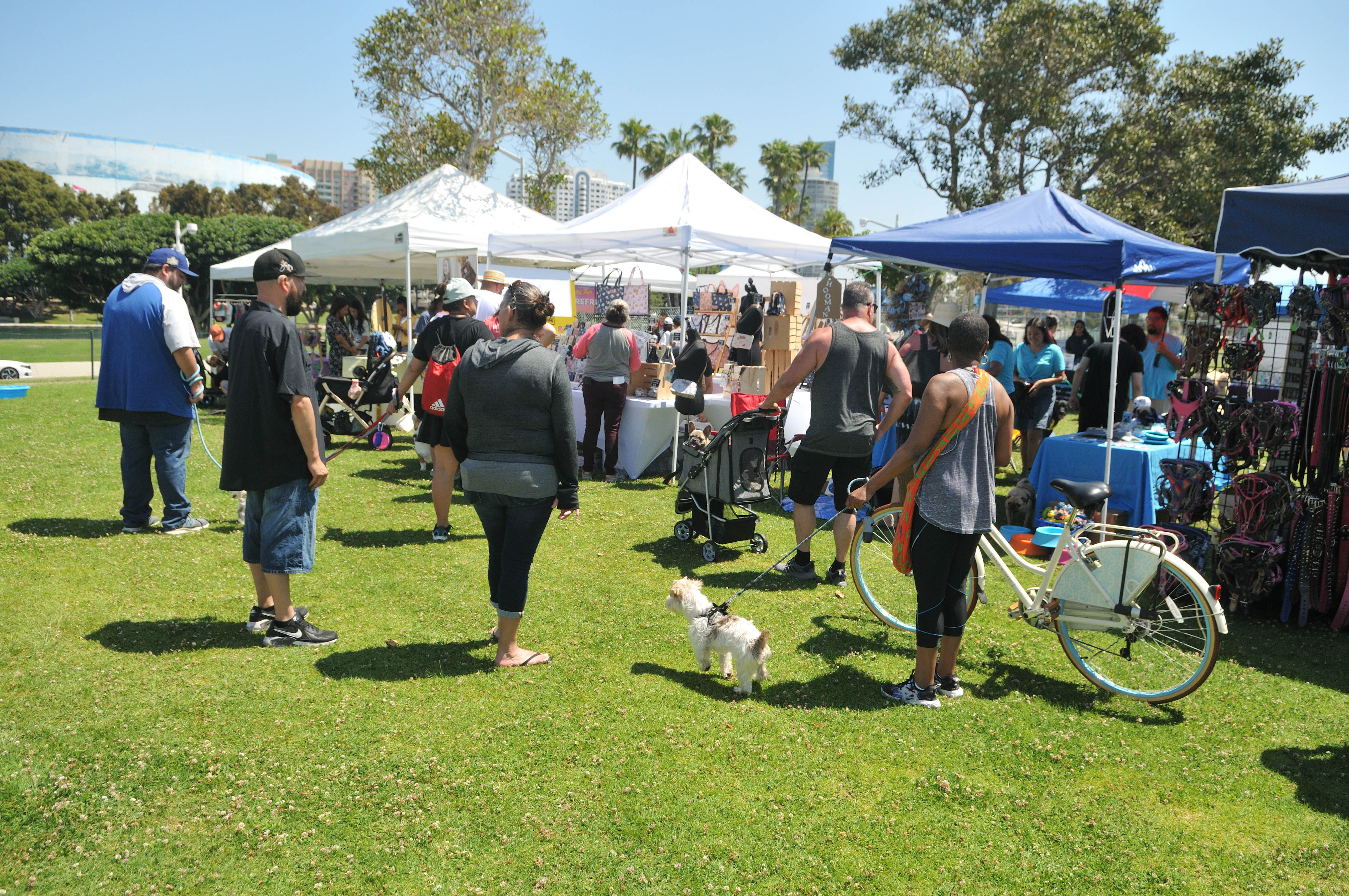 long-beach-pet-fair