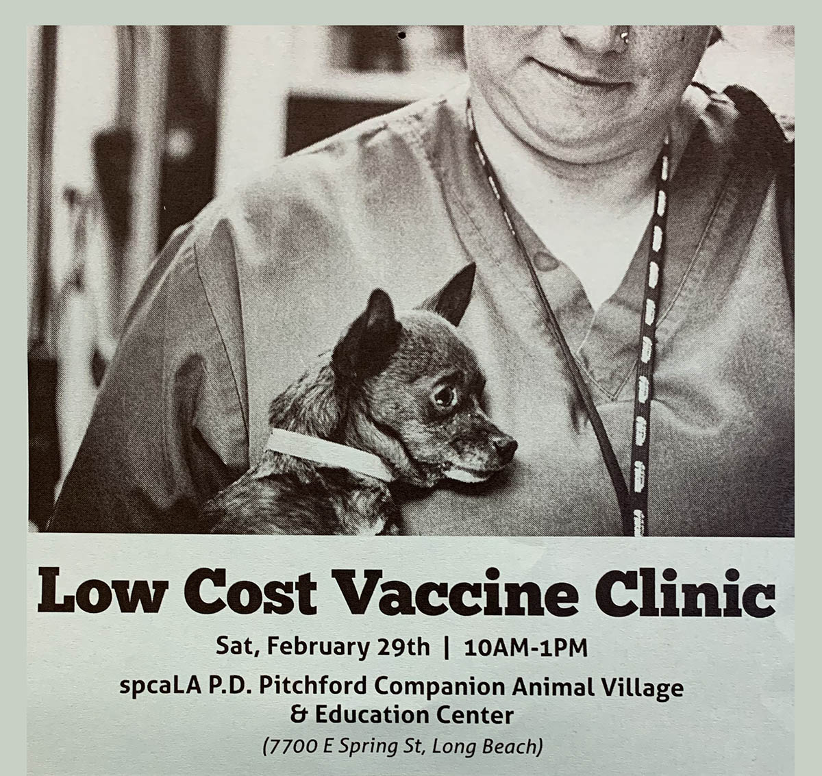 low cost vaccine clinic