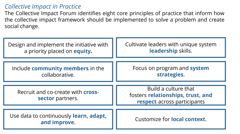 Collective Impact in practice through 8 core principles